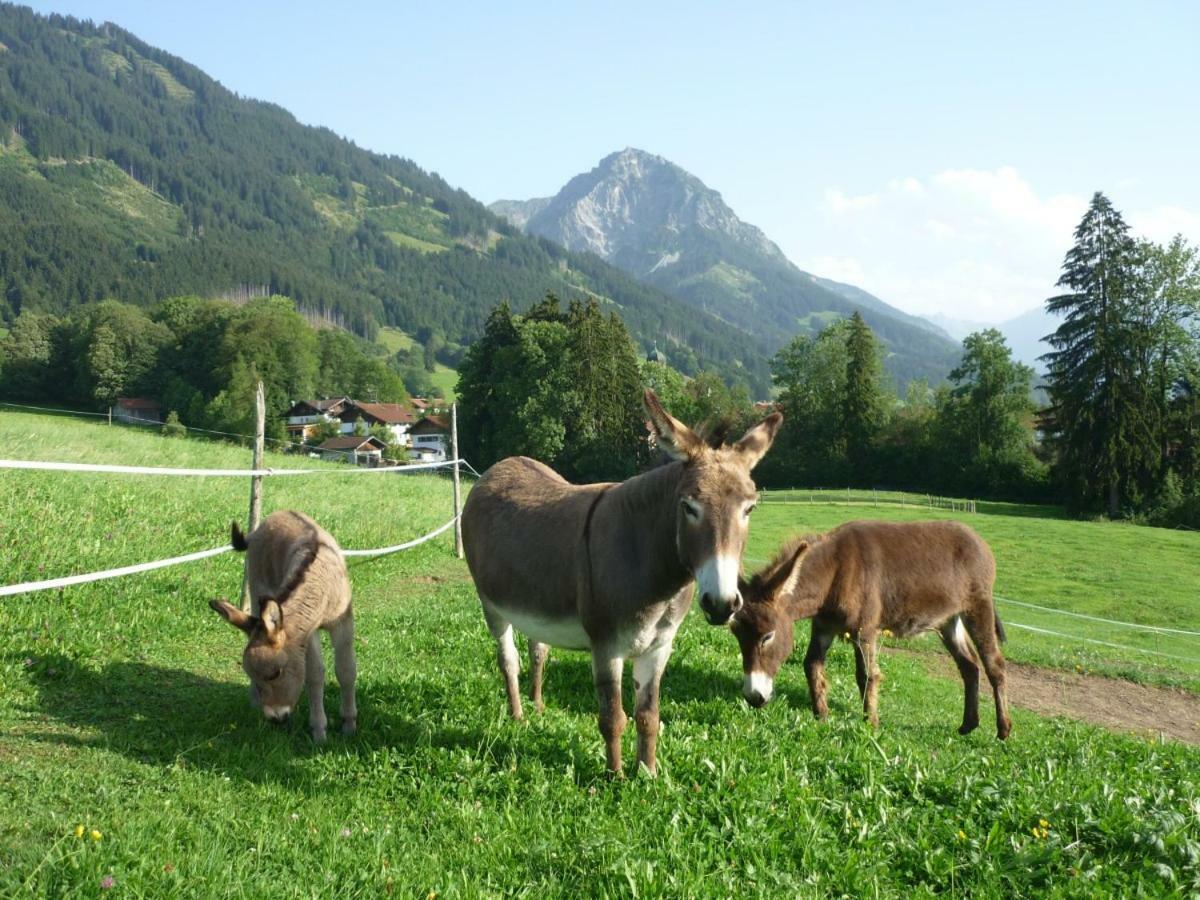 Ferienhof Alfred Albrecht Oberstdorf Zewnętrze zdjęcie