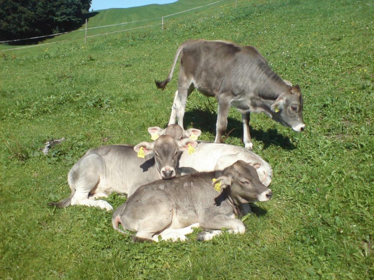 Ferienhof Alfred Albrecht Oberstdorf Zewnętrze zdjęcie